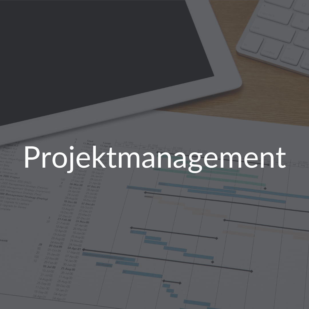 Projektmanagement